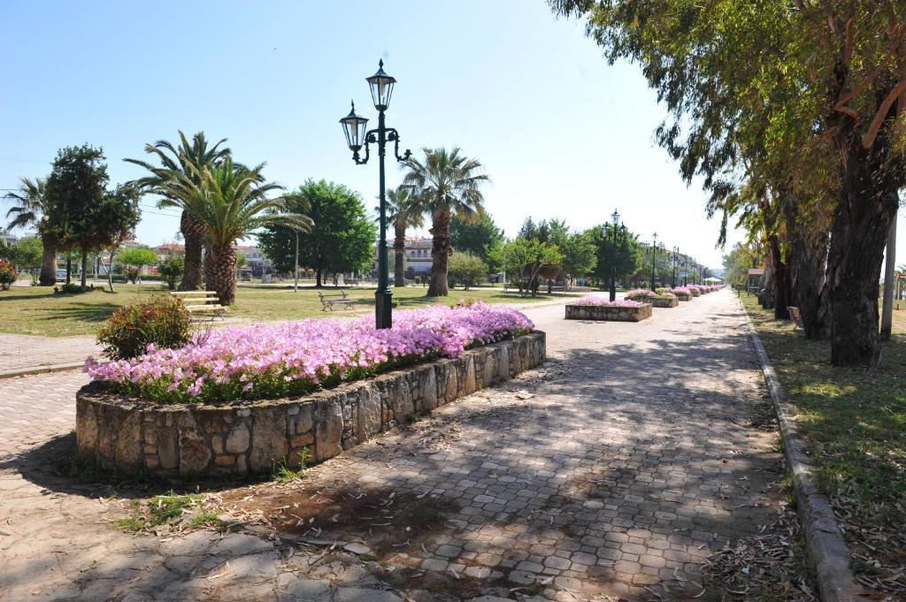 Apartments Dimitra Paralia Dionysiou Exterior photo